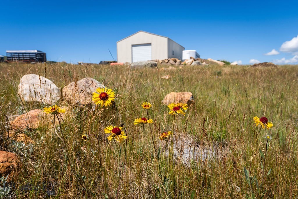 412829 Property Photo 46