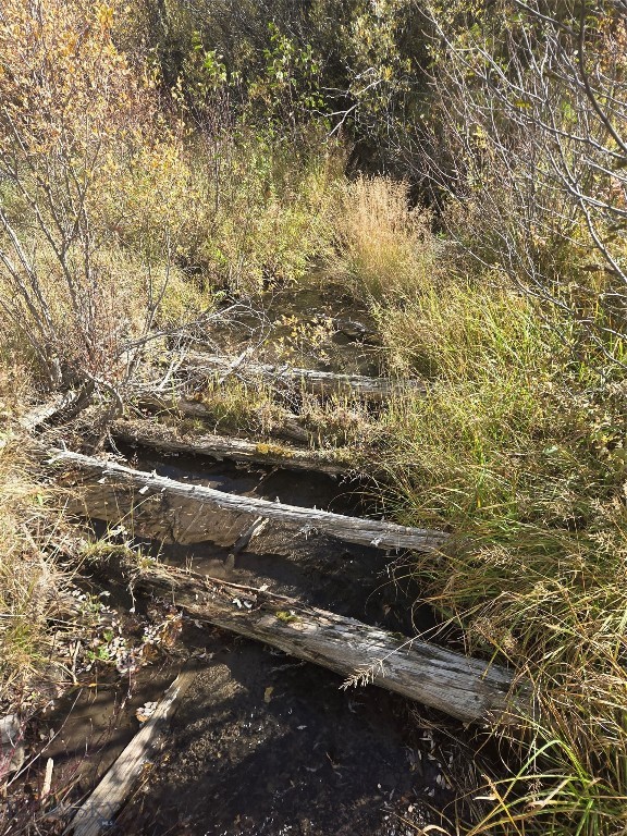 Nhn Skunk Creek Property Photo 8
