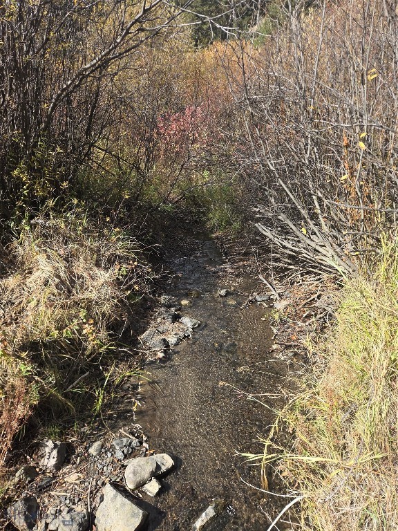 Nhn Skunk Creek Property Photo 9
