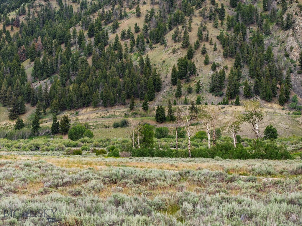 36 Torry Road Property Photo 18