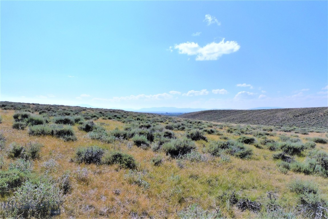Tbd Joanie Dr Property Photo 15
