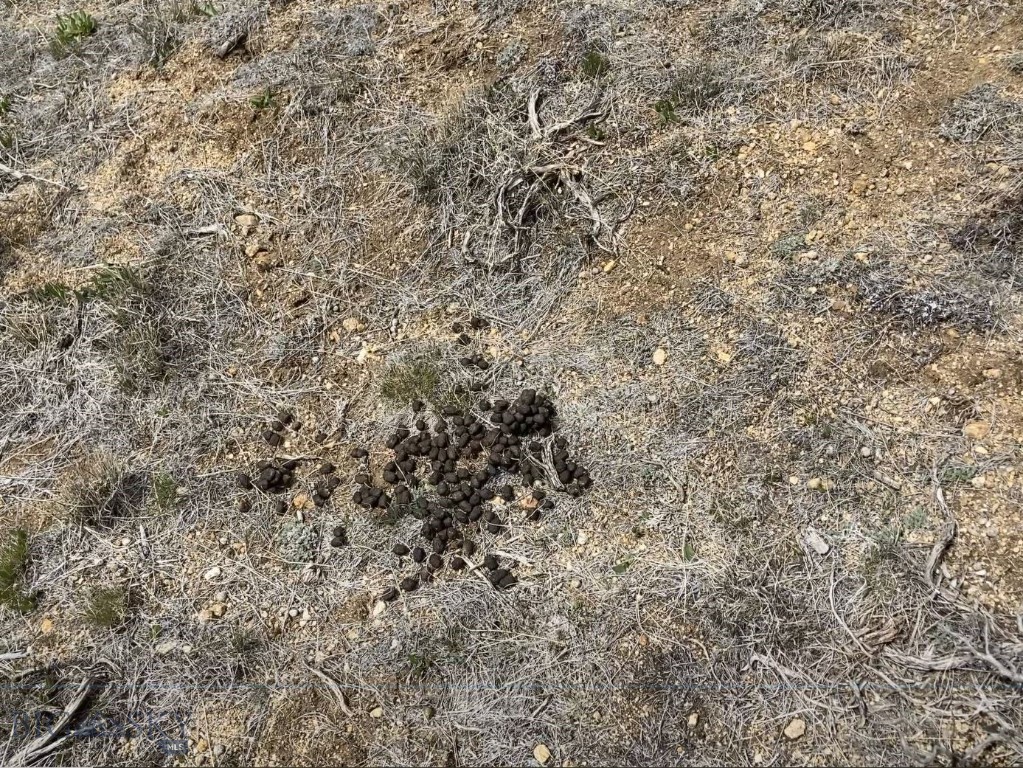 Tbd Joanie Dr Property Photo 27