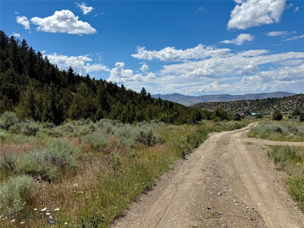 Lot 290 Tbd Broken Creek Rd Property Photo 1