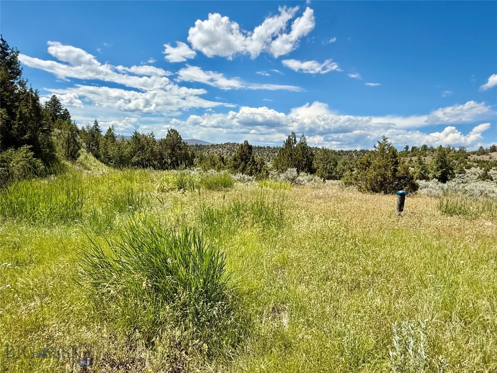 Lot 290 Tbd Broken Creek Rd Property Photo 2