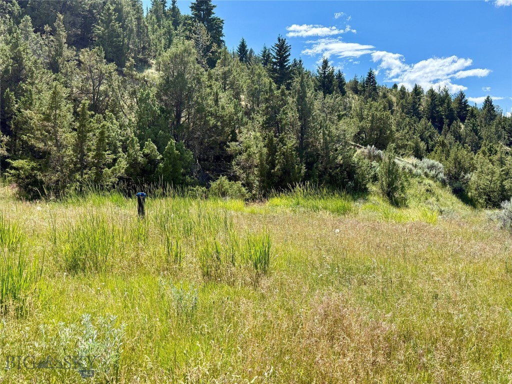 Lot 290 Tbd Broken Creek Rd Property Photo 3