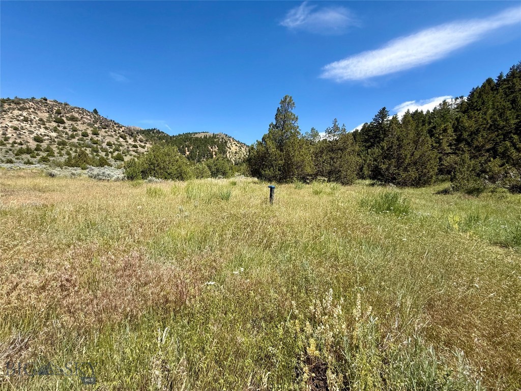 Lot 290 Tbd Broken Creek Rd Property Photo 4