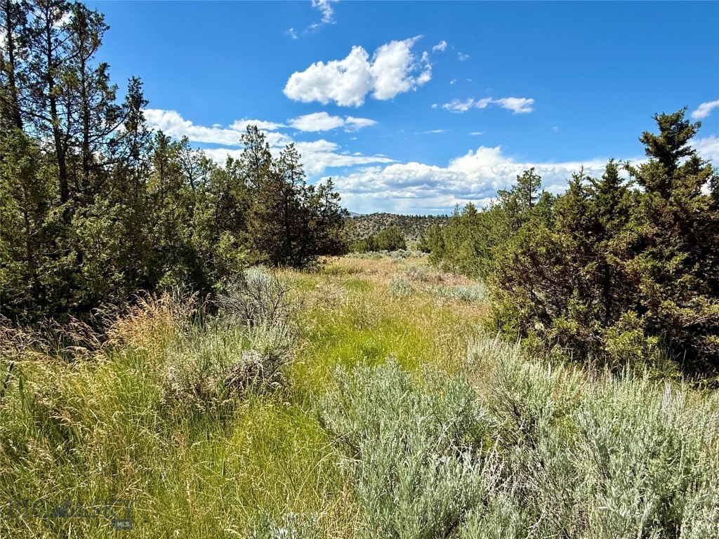Lot 290 Tbd Broken Creek Rd Property Photo 5