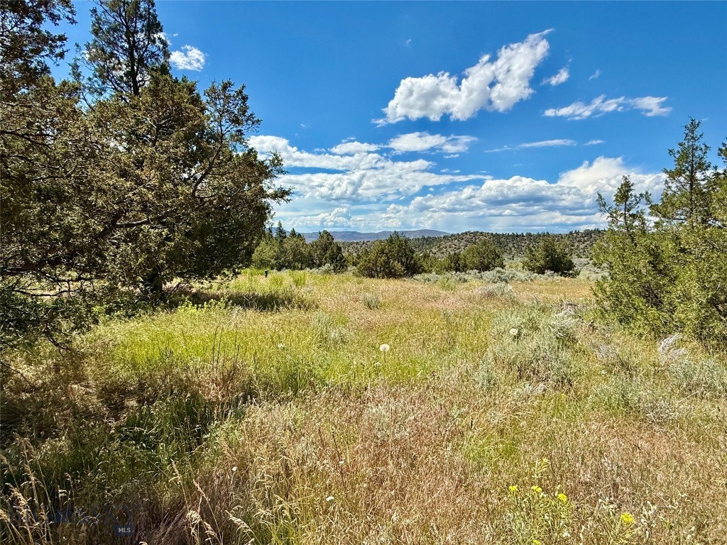 Lot 290 Tbd Broken Creek Rd Property Photo 6