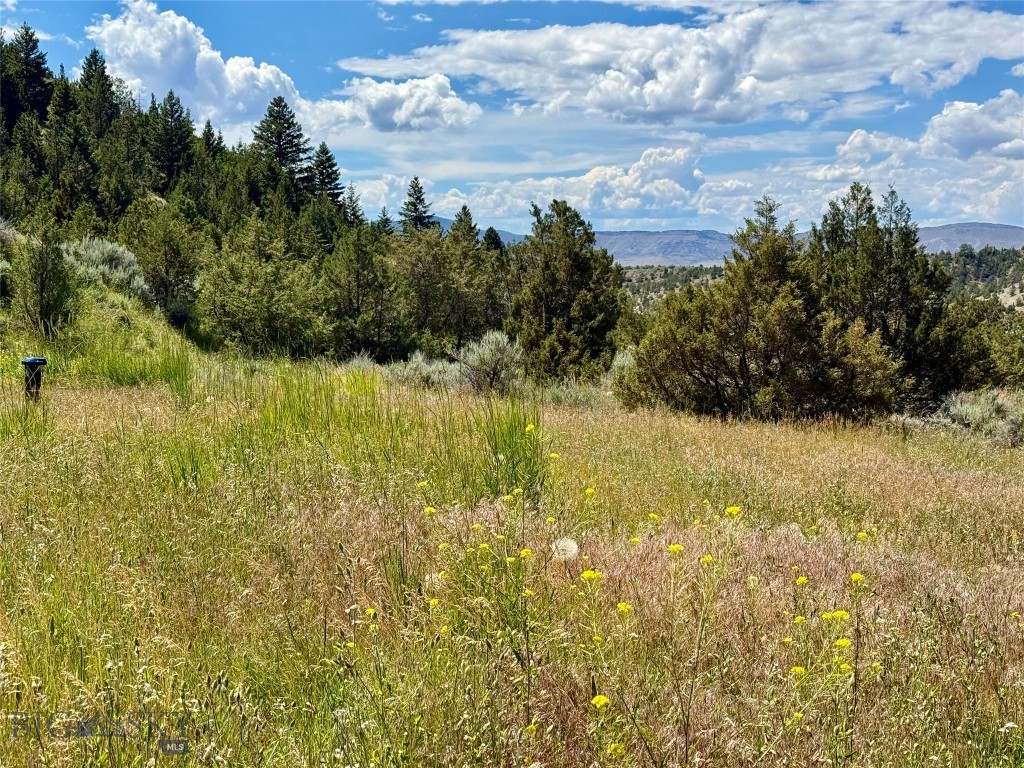 Lot 290 Tbd Broken Creek Rd Property Photo 7