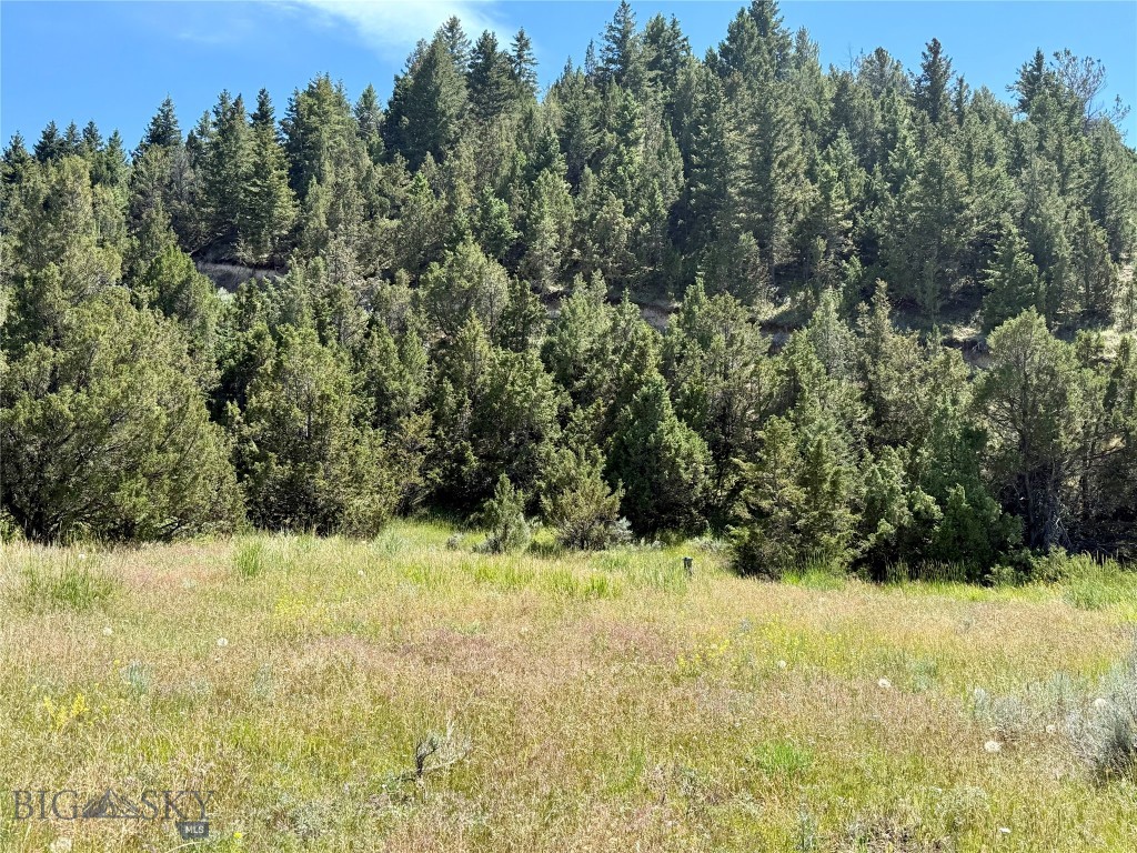 Lot 290 Tbd Broken Creek Rd Property Photo 8