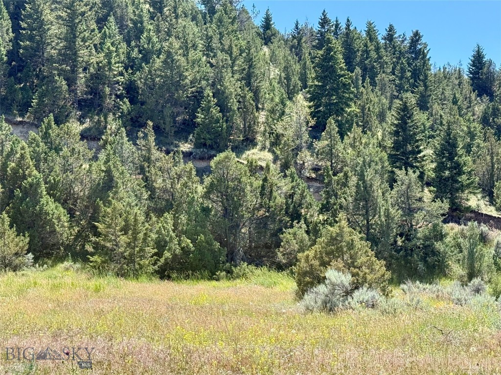 Lot 290 Tbd Broken Creek Rd Property Photo 9