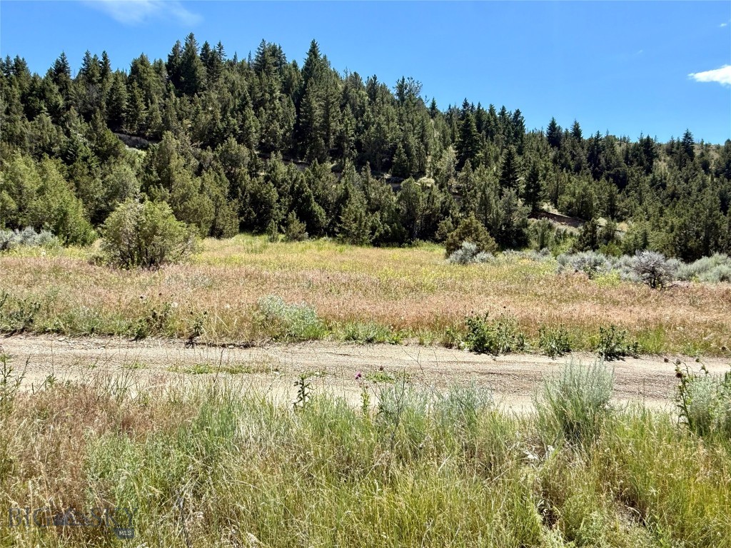 Lot 290 Tbd Broken Creek Rd Property Photo 10