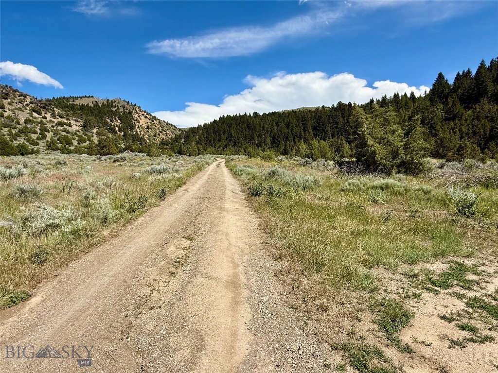 Lot 290 Tbd Broken Creek Rd Property Photo 11