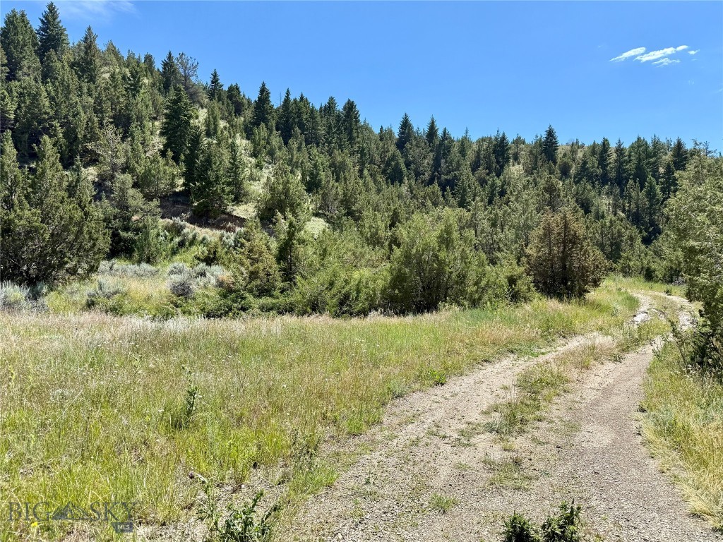 Lot 290 Tbd Broken Creek Rd Property Photo 14