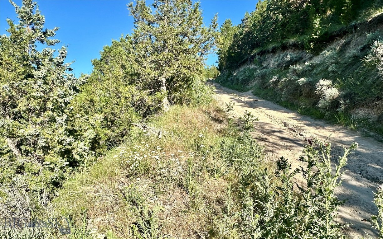 Lot 290 Tbd Broken Creek Rd Property Photo 15