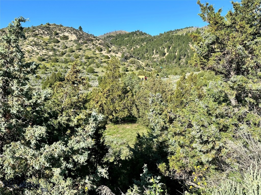 Lot 290 Tbd Broken Creek Rd Property Photo 17