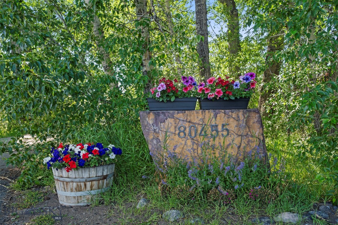80455 Gallatin Road Property Photo 6