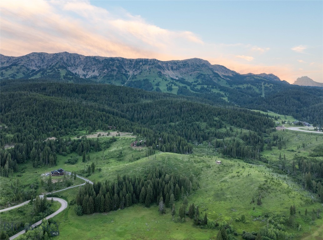 11540 Taiga Trail Property Photo 6