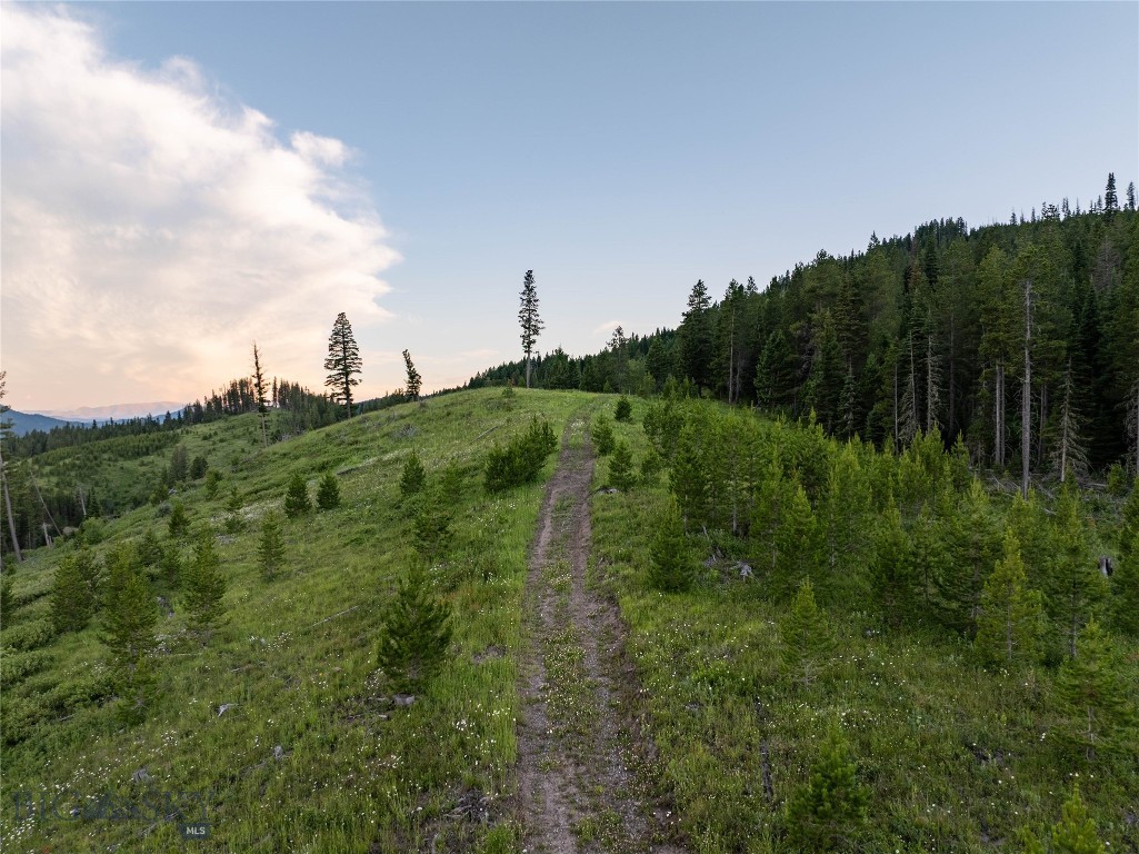 11540 Taiga Trail Property Photo 77
