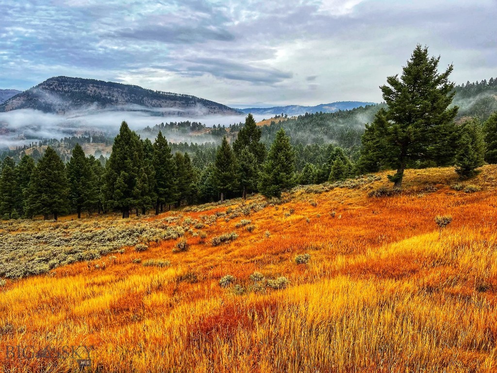 600 Middle Skunk Creek Property Photo 66