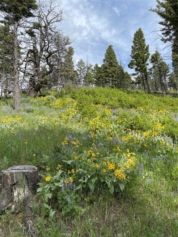 600 Middle Skunk Creek Property Photo 72