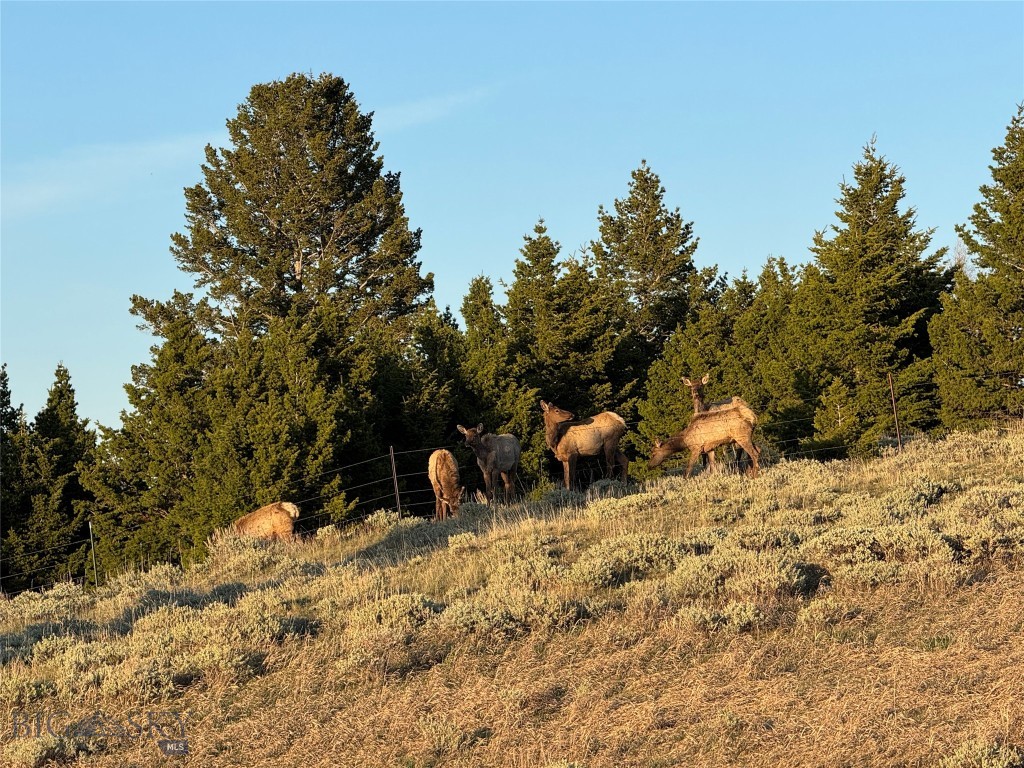 600 Middle Skunk Creek Property Photo 74