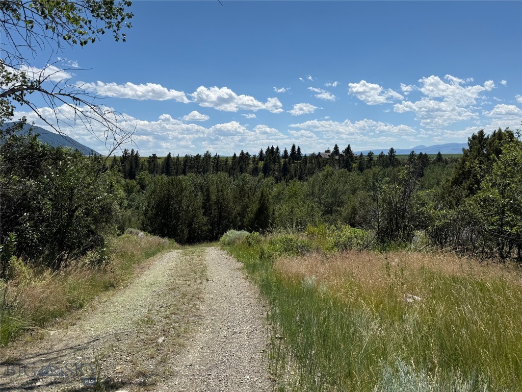 521 Jack Creek Road Property Photo 4