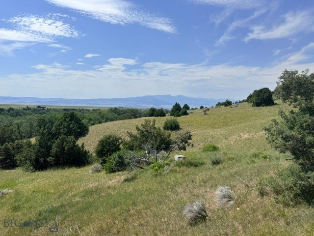 521 Jack Creek Road Property Photo 19