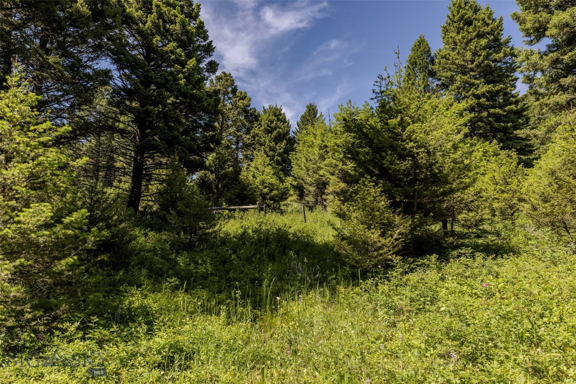 593 Upper Cottonwood Property Photo 41