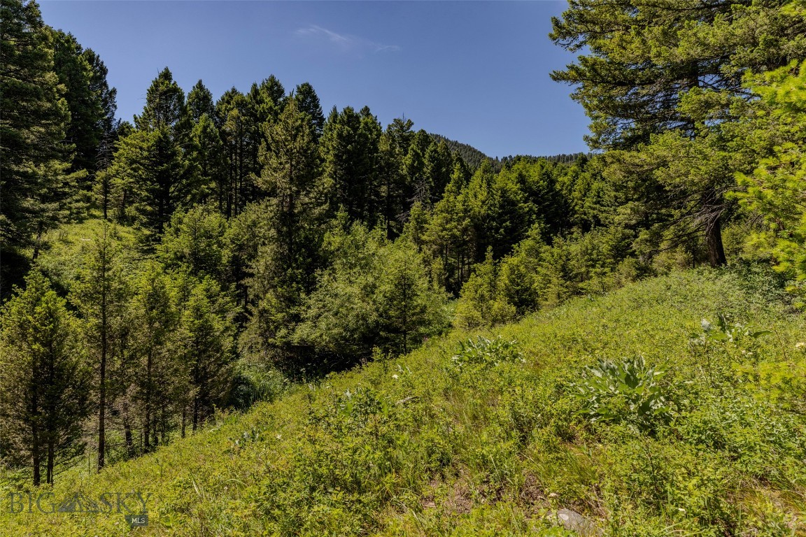 593 Upper Cottonwood Property Photo 43