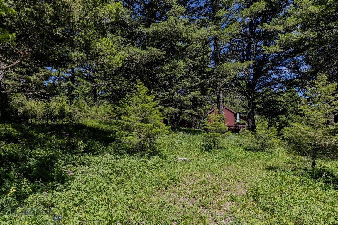 593 Upper Cottonwood Property Photo 44