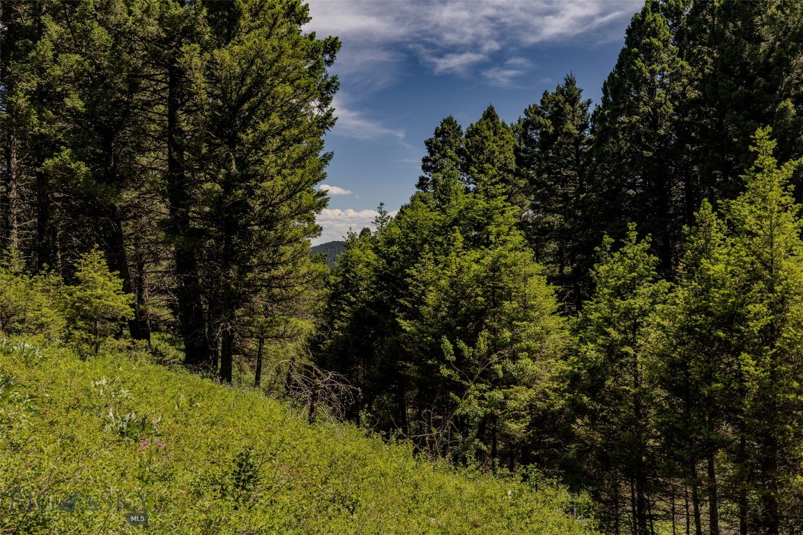 593 Upper Cottonwood Property Photo 45
