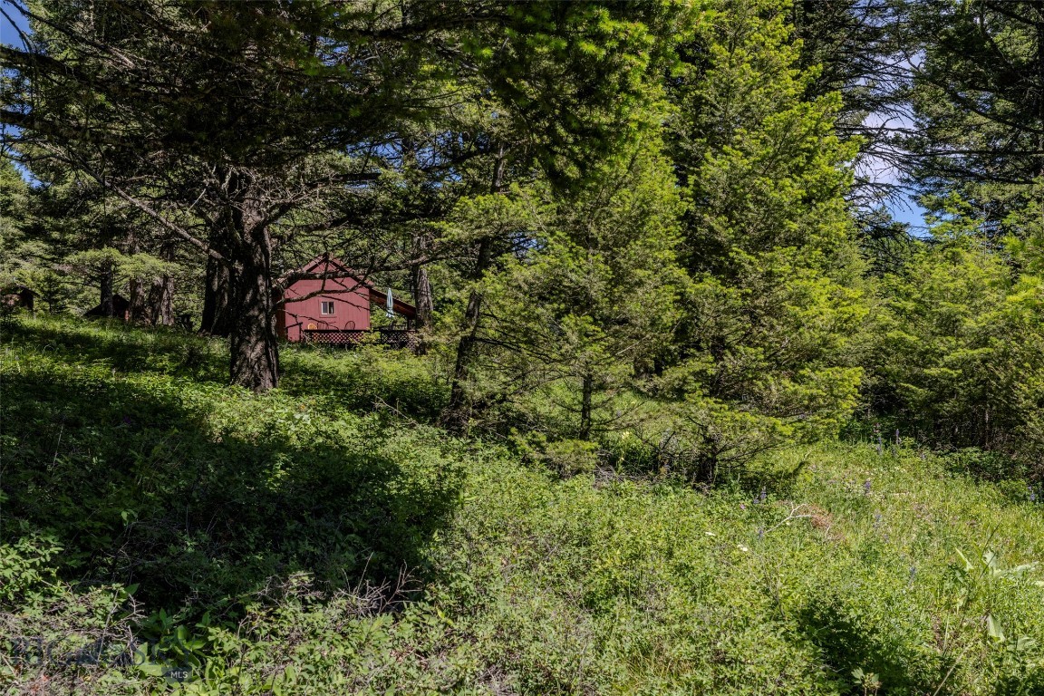 593 Upper Cottonwood Property Photo 47
