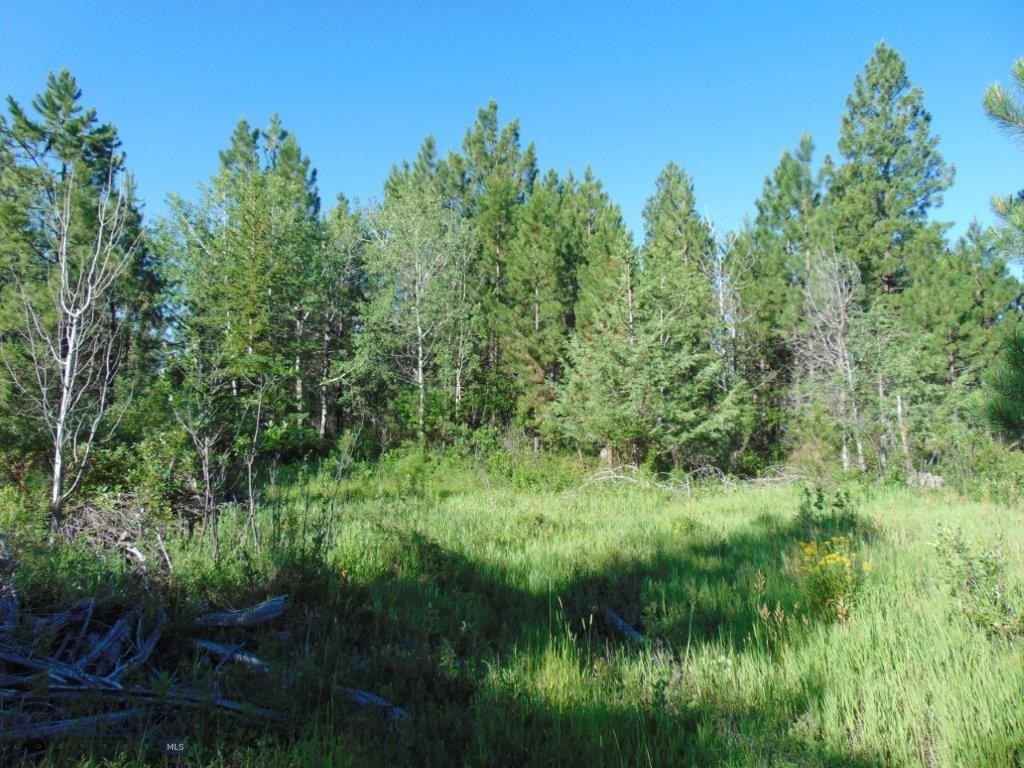 4615 Abe Lincoln Property Photo 2