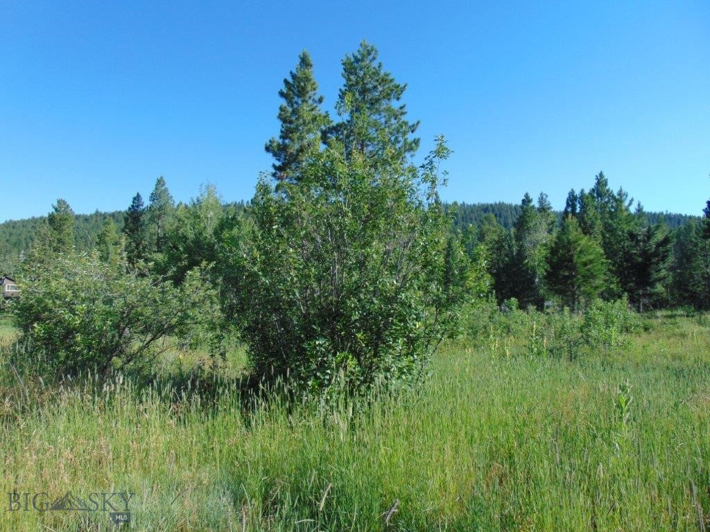 4615 Abe Lincoln Property Photo 4