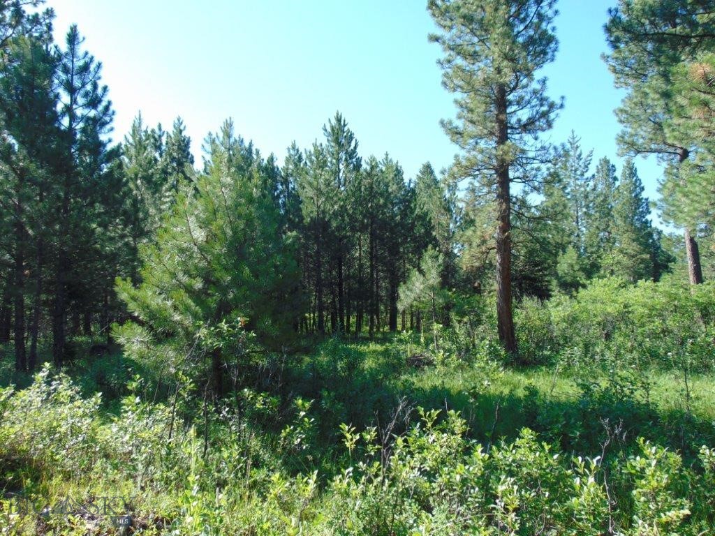 4615 Abe Lincoln Property Photo 5