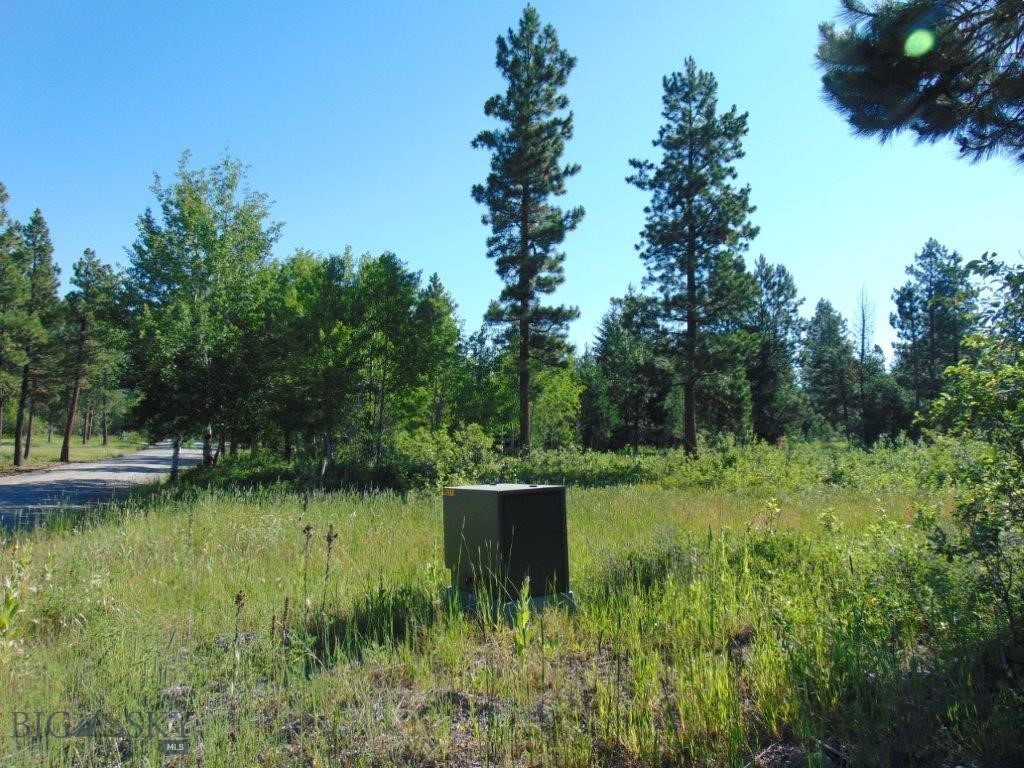 4615 Abe Lincoln Property Photo 6