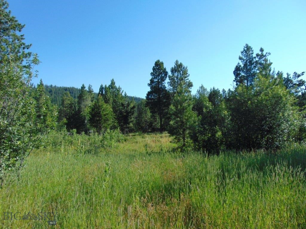4615 Abe Lincoln Property Photo 8