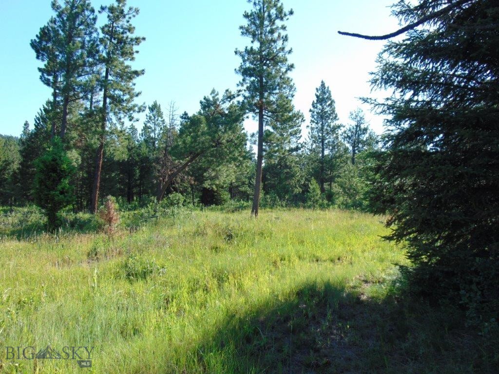 4615 Abe Lincoln Property Photo 9