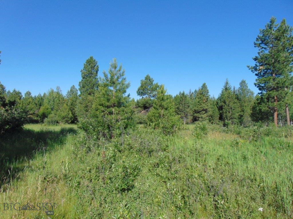 4615 Abe Lincoln Property Photo 10