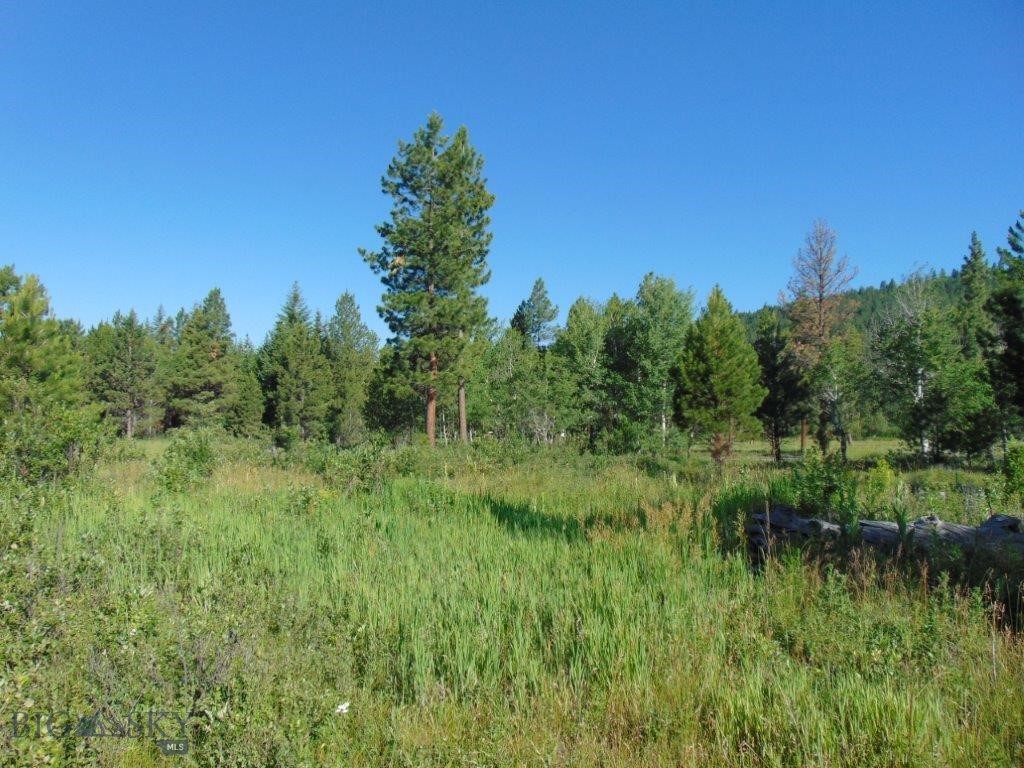 4615 Abe Lincoln Property Photo 11