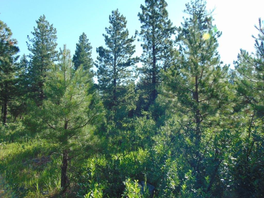 4615 Abe Lincoln Property Photo 12