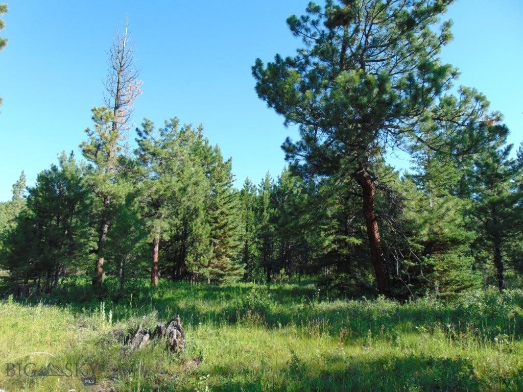 4615 Abe Lincoln Property Photo 13