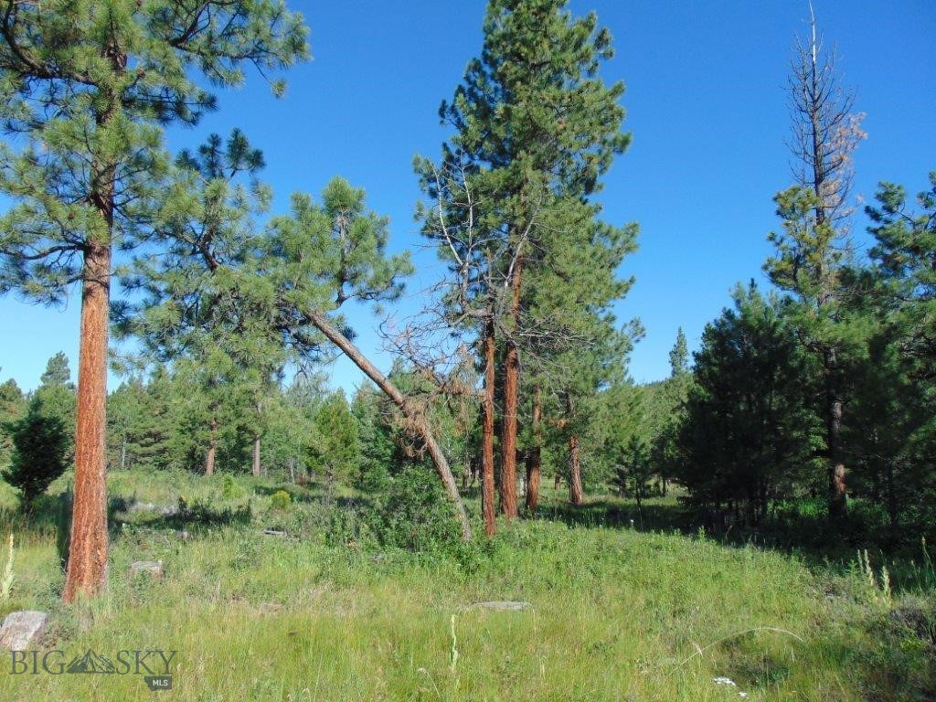 4615 Abe Lincoln Property Photo 14