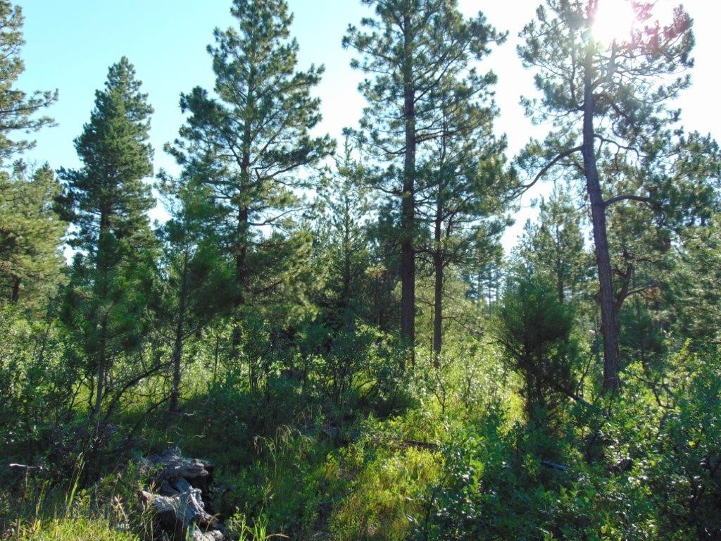 4615 Abe Lincoln Property Photo 15
