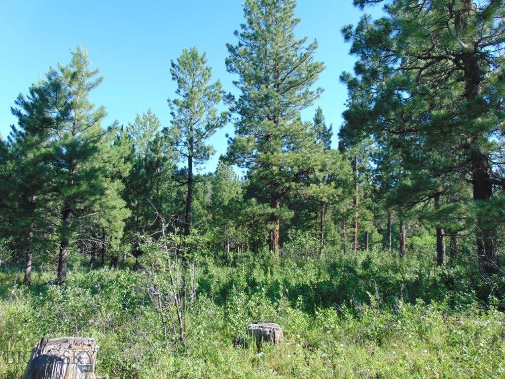 4615 Abe Lincoln Property Photo 16