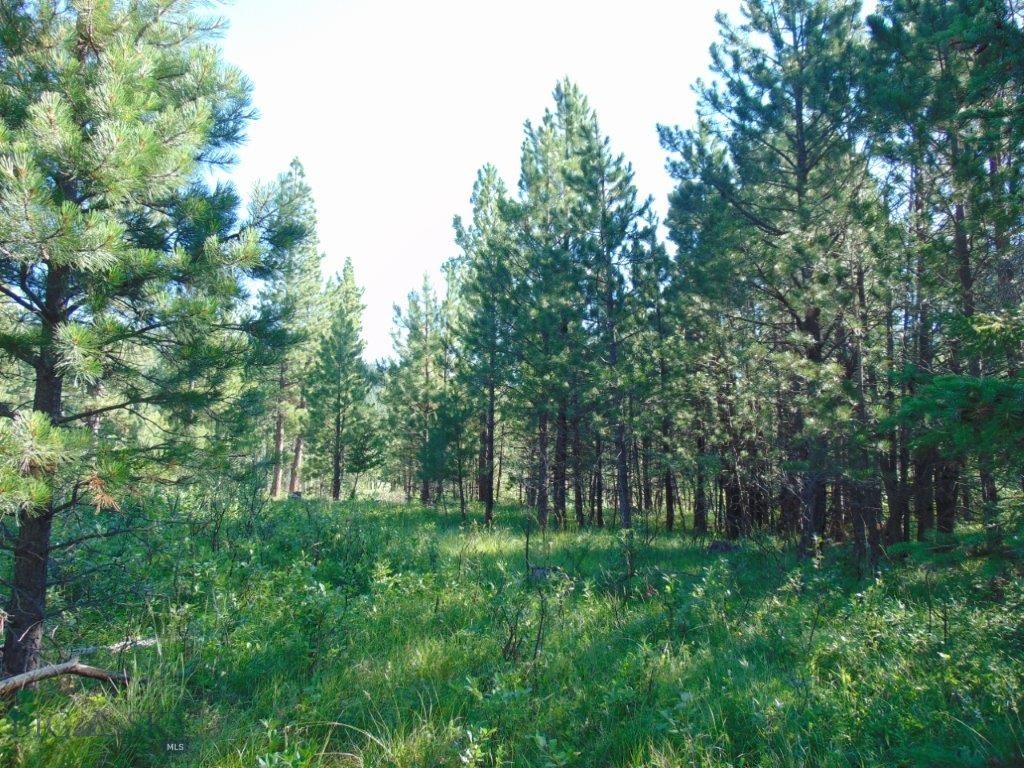 4615 Abe Lincoln Property Photo 17