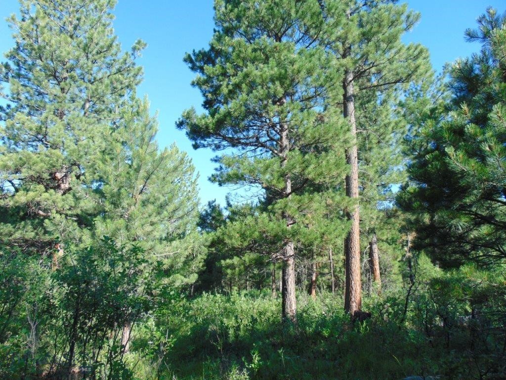 4615 Abe Lincoln Property Photo 19