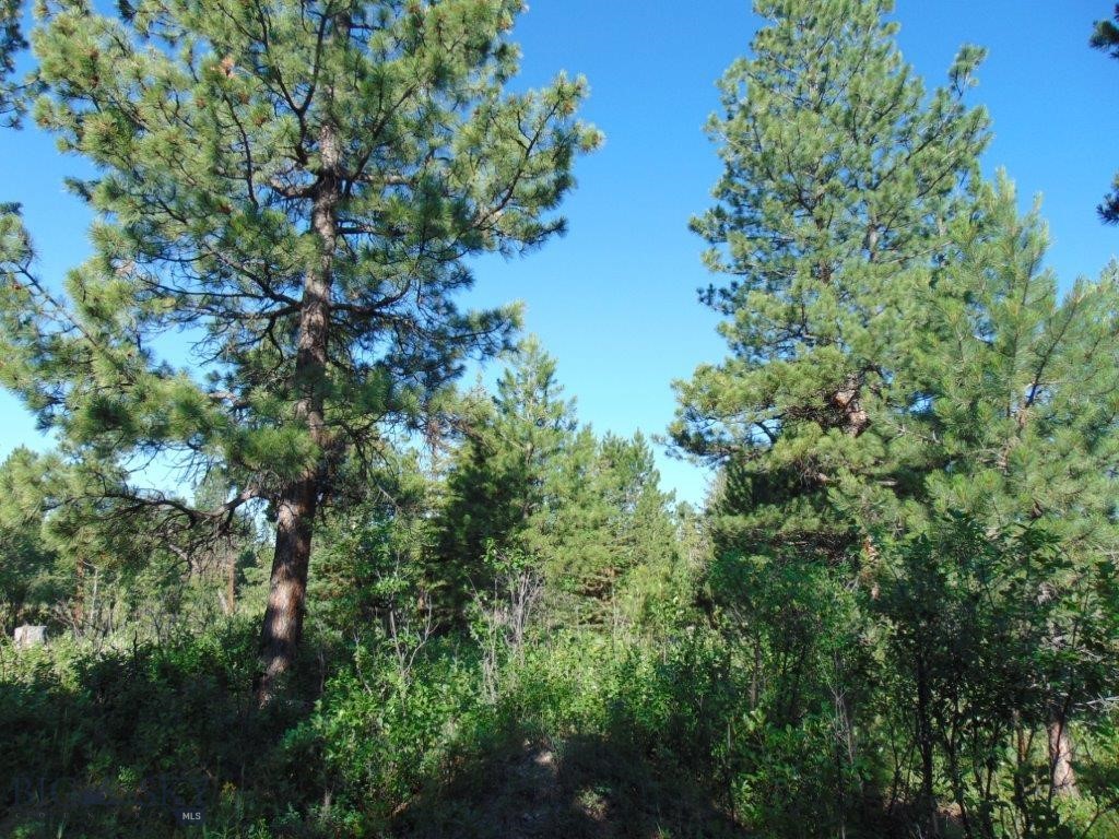 4615 Abe Lincoln Property Photo 20