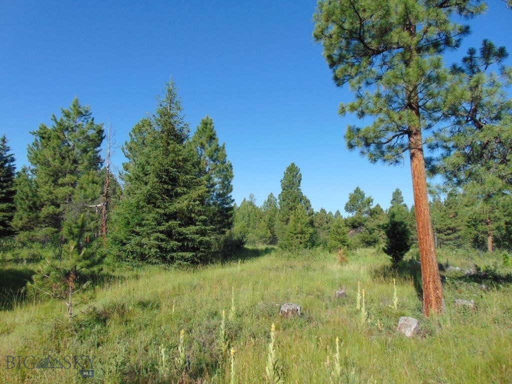 4615 Abe Lincoln Property Photo 22